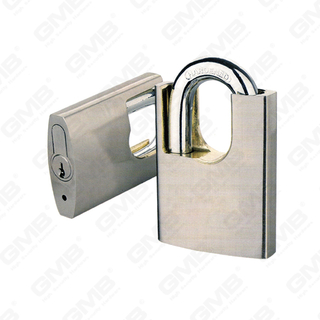 Interchangeable Cylinder Brass Padlock with Shackle Protected (132)
