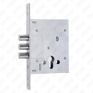 High Security Outer Door Lock/Heavy Duty Lock Body/Mortise Door Lock (257L-C)