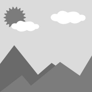 High Security Multi-Unlocking Ways IP66 Keyless Fingerprint Password Rfidwifi Digital Adjustable Modular Profile Tuya/Tt APP Smart Electronic Door Lock Cylinder （5F01)